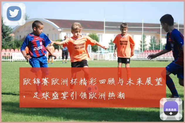 欧锦赛欧洲杯精彩回顾与未来展望，足球盛宴引领欧洲热潮